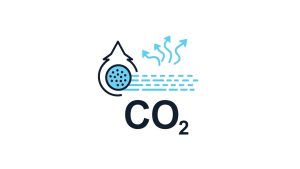 CO₂ Absorption