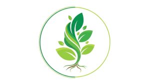 Evergreen Growth